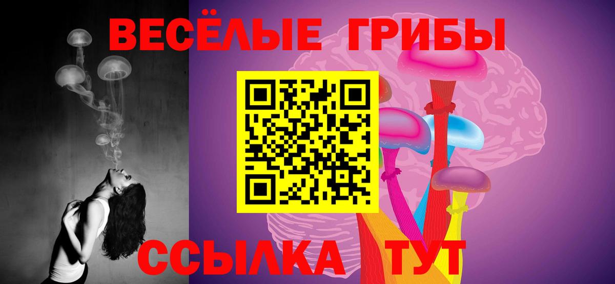Галлюциногенные грибы Psilocybe  Вход с VPN  как найти закладки  Серов  Псилоцибиновые грибы мухоморы 